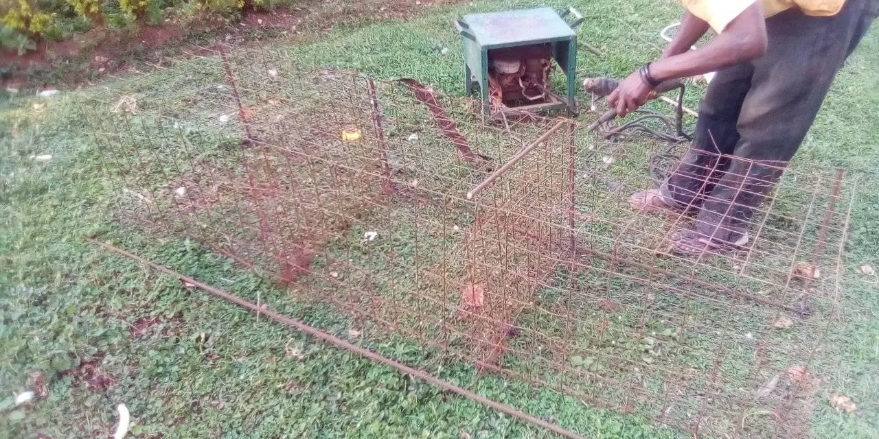 ZESA ZARF Rabbit Husbandry